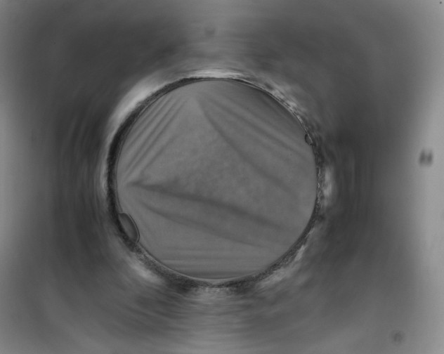 X0000100950296200807221127