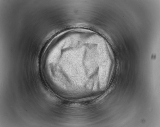 X0000100950298200807221127