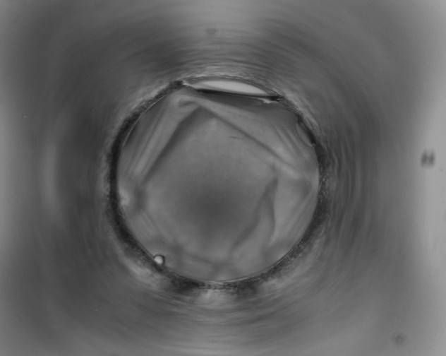 X0000100950303200807221127