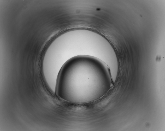 X0000100950304200807221127