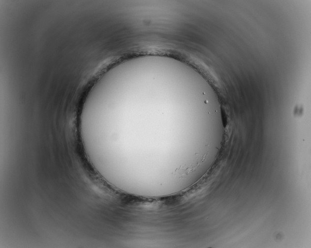 X0000100950306200807221127