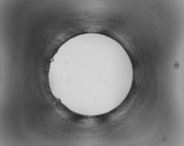 X0000100950307200807221127