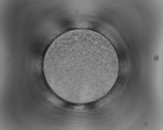 X0000100950309200807221127