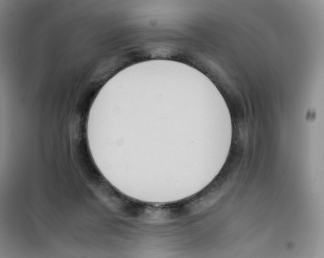 X0000100950311200807221127