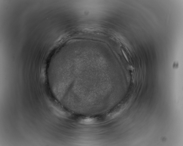 X0000100950312200807221127