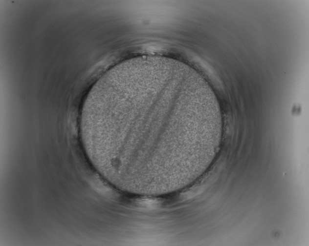 X0000100950313200807221127