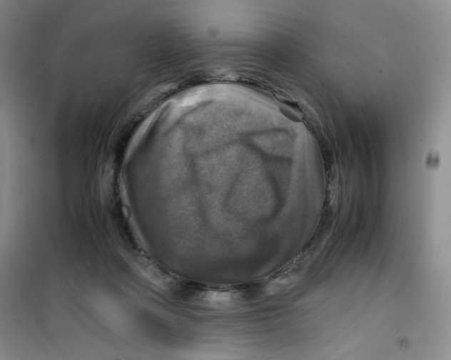 X0000100950314200807221127