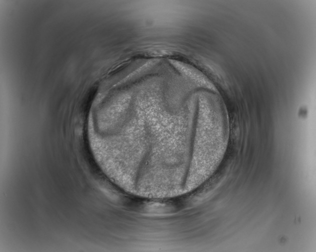 X0000100950315200807221127