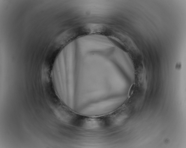 X0000100950316200807221127