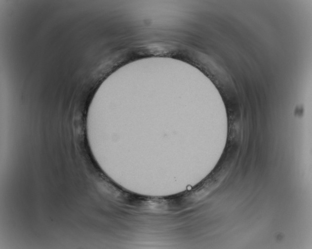 X0000100950317200807221127