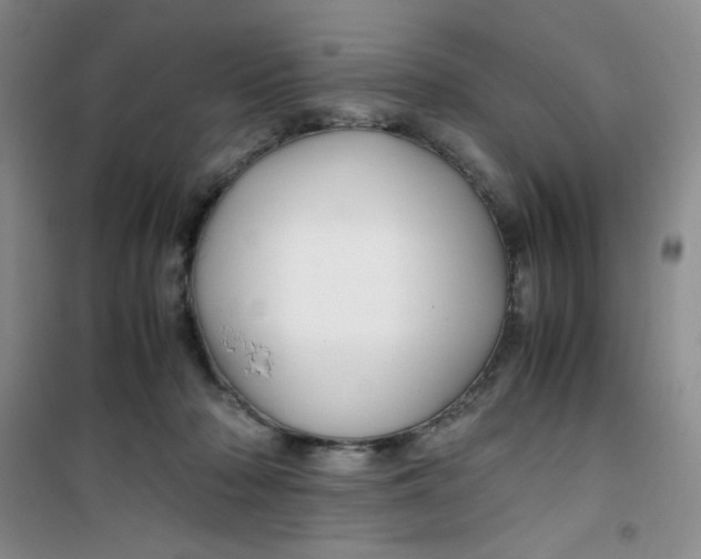 X0000100950318200807221127