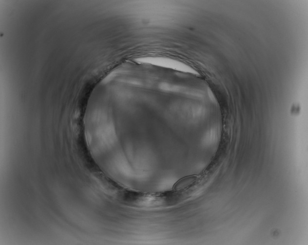 X0000100950319200807221127