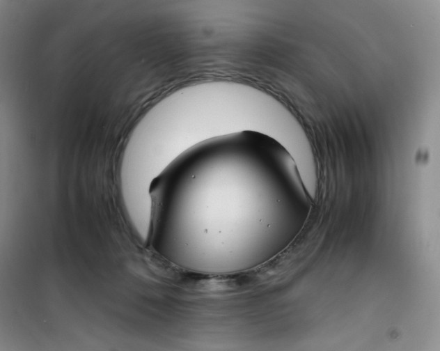 X0000100950320200807221127