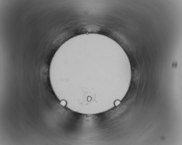 X0000100950321200807221127