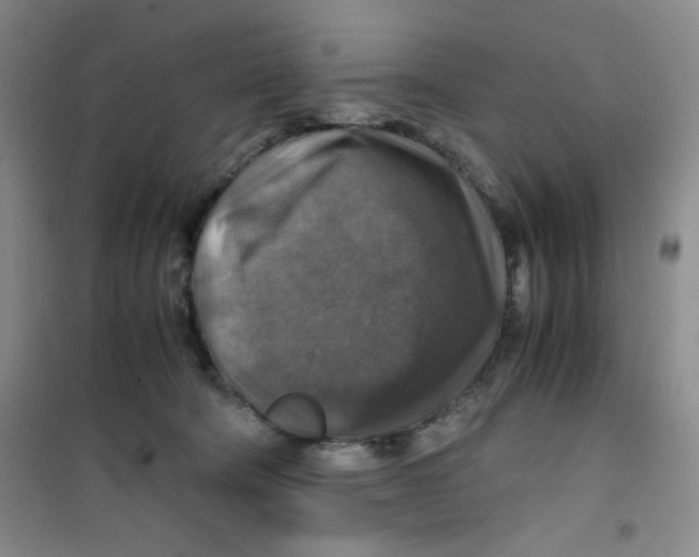 X0000100950322200807221127