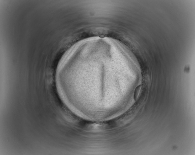 X0000100950323200807221127