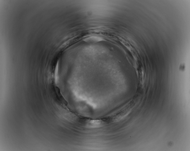 X0000100950324200807221127