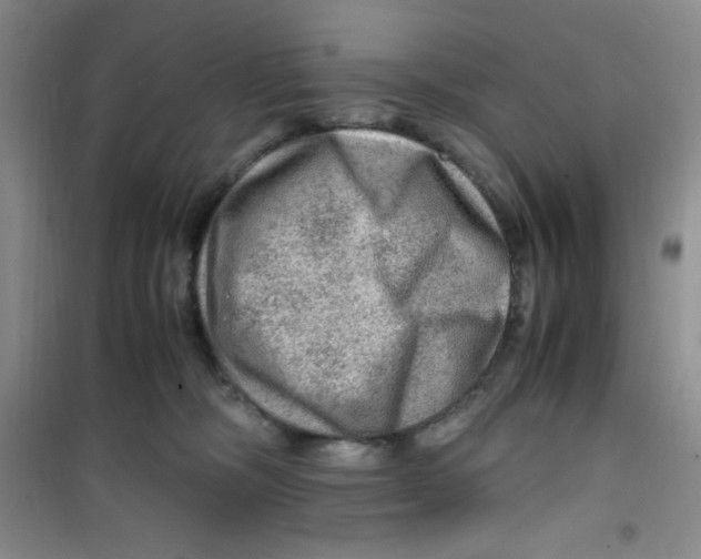 X0000100950326200807221127