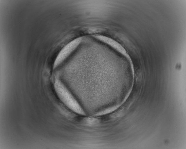 X0000100950327200807221127