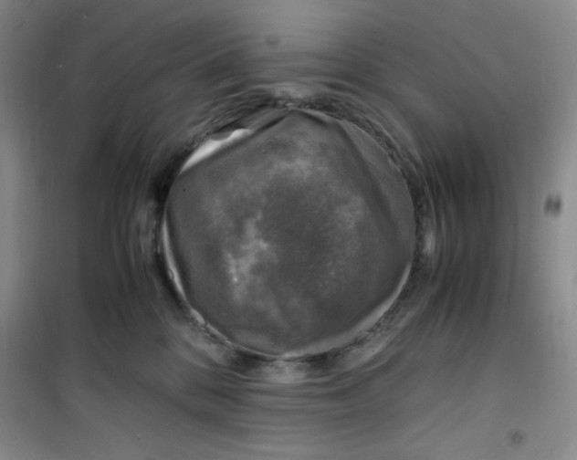 X0000100950328200807221127