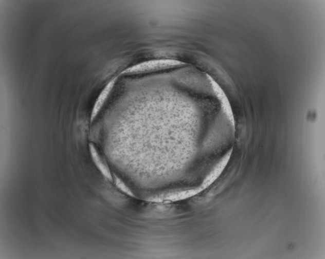 X0000100950329200807221127