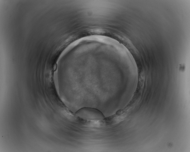 X0000100950330200807221127