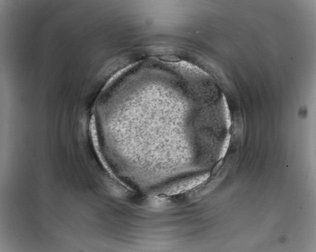 X0000100950333200807221127