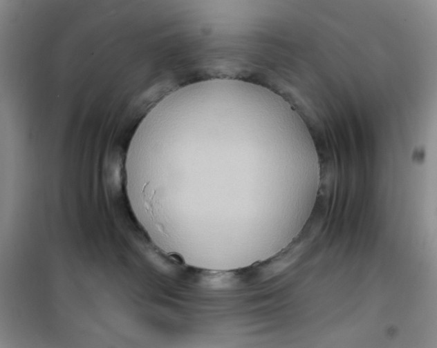 X0000100950334200807221127