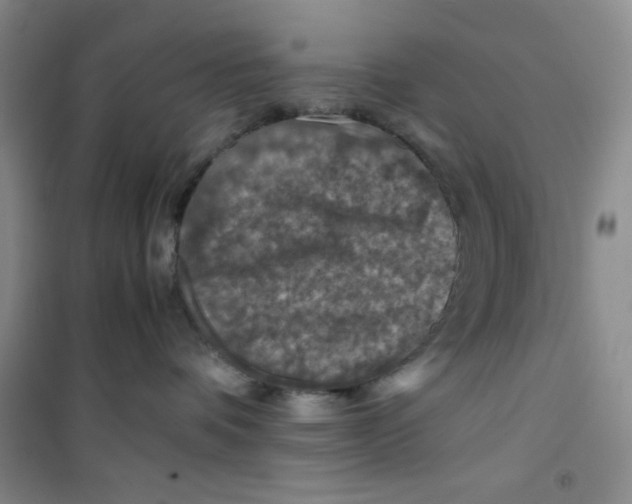 X0000100950336200807221127