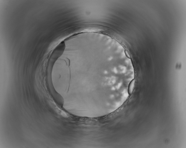 X0000100950337200807221126