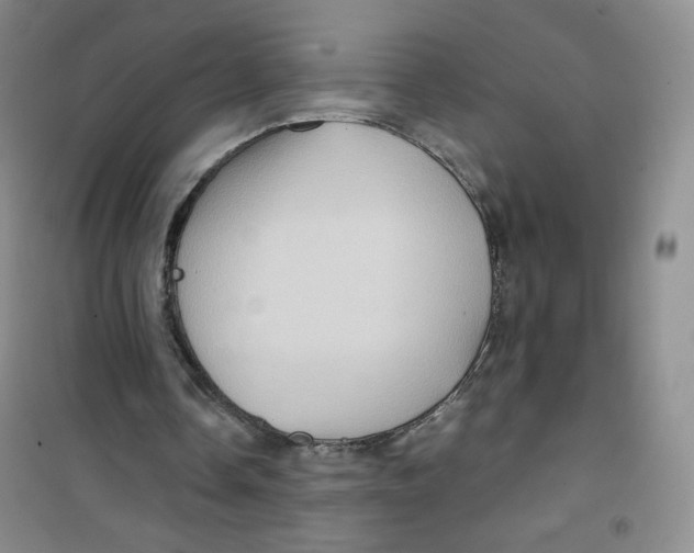 X0000100950338200807221126