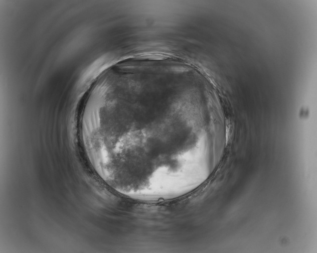 X0000100950339200807221126