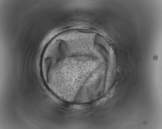 X0000100950341200807221126