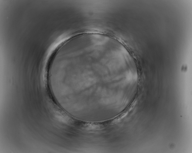 X0000100950343200807221126