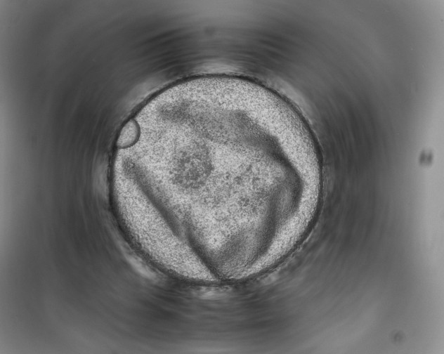 X0000100950345200807221126