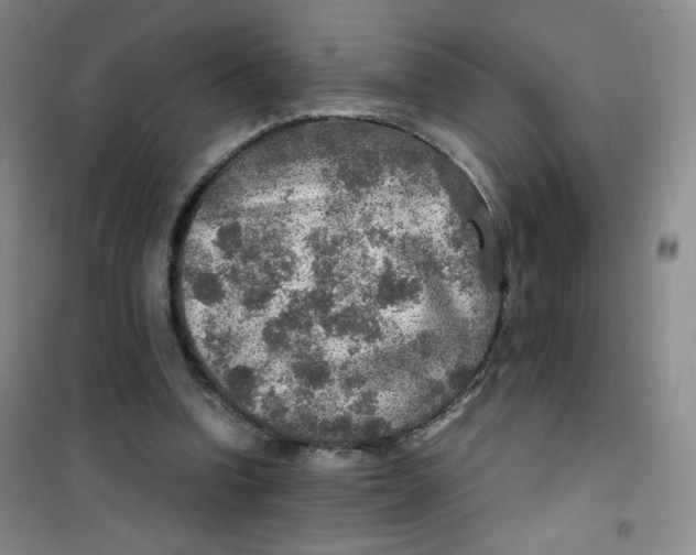 X0000100950346200807221126