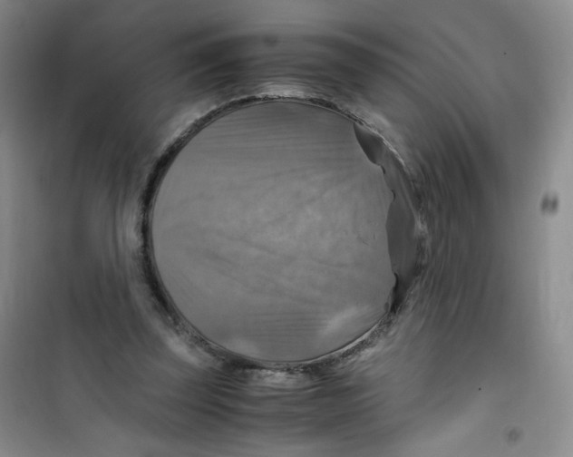 X0000100950347200807221126