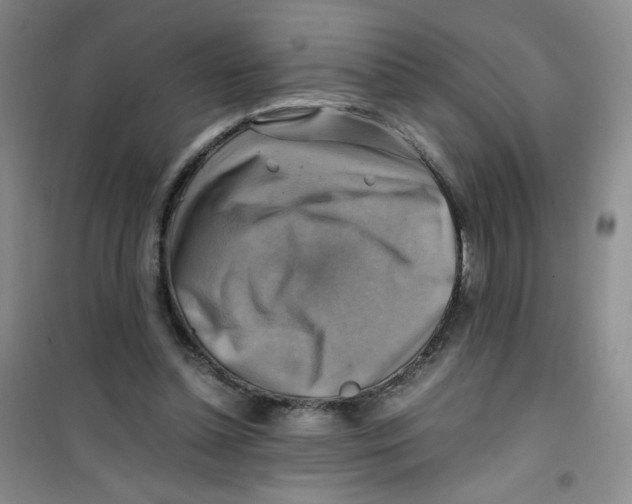 X0000100950348200807221126