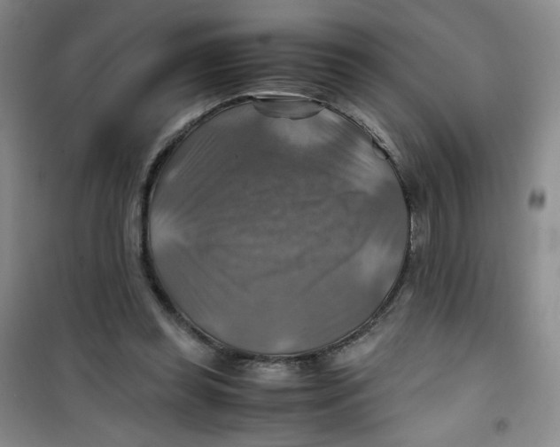 X0000100950349200807221126