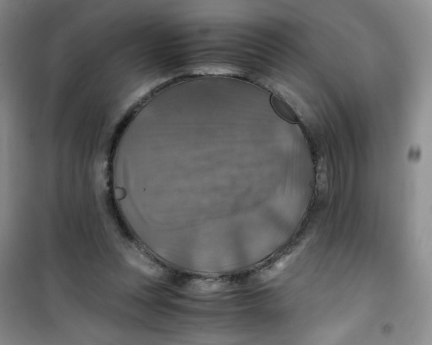 X0000100950351200807221126