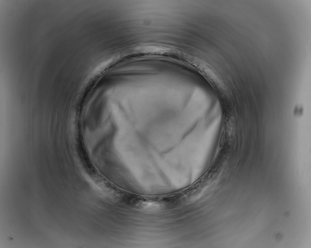 X0000100950352200807221126