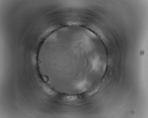 X0000100950353200807221126