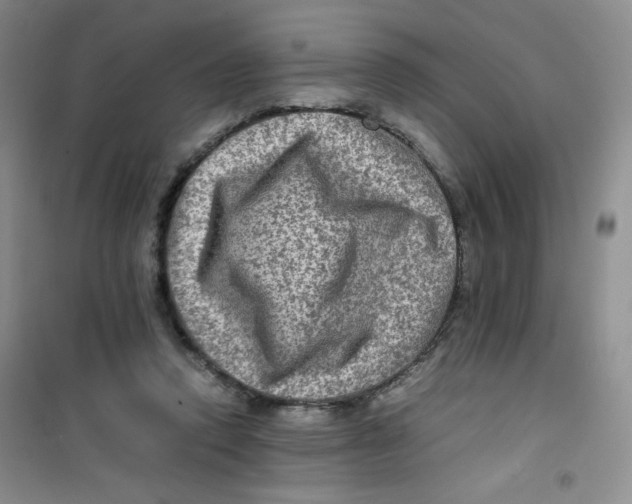 X0000100950354200807221126