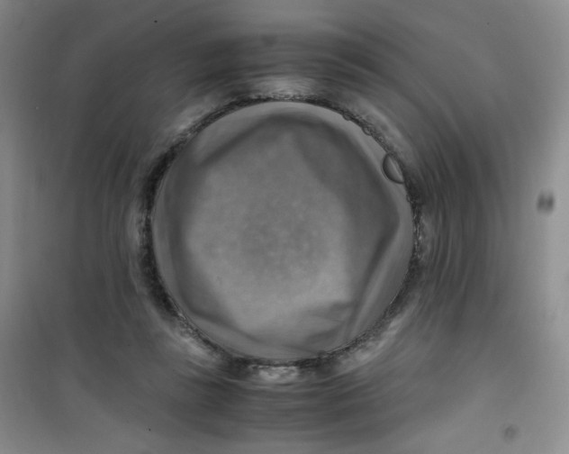 X0000100950355200807221126