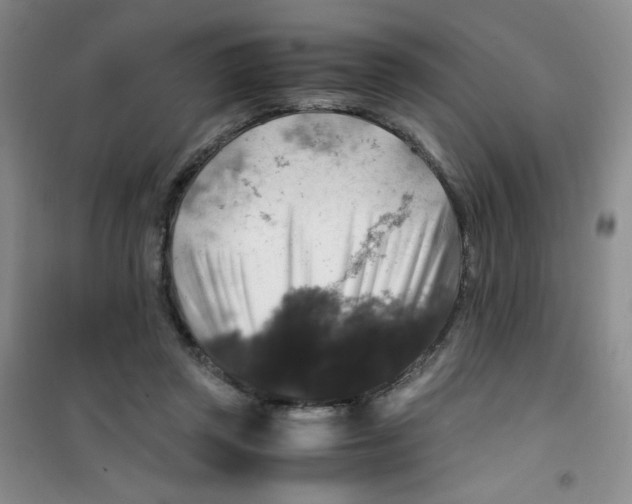 X0000100950357200807221126