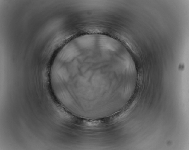 X0000100950359200807221126