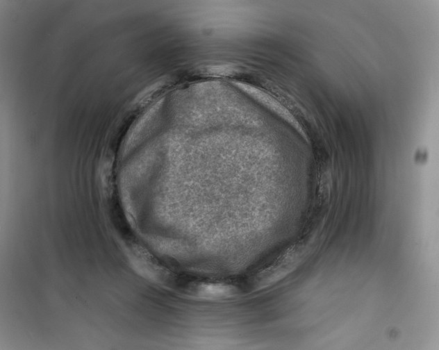 X0000100950360200807221126