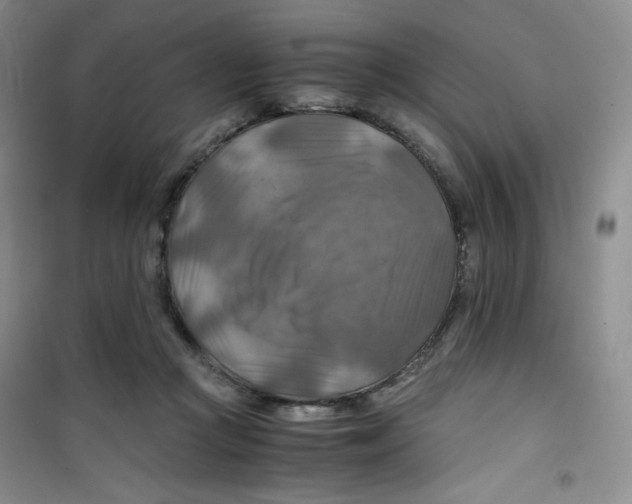 X0000100950361200807221127