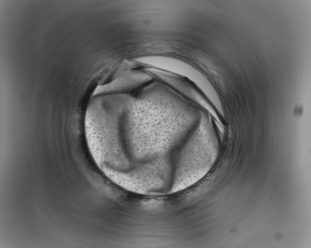 X0000100950362200807221127