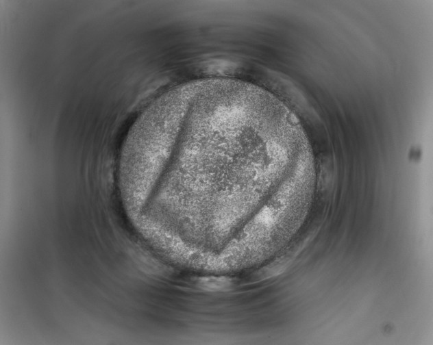 X0000100950363200807221127